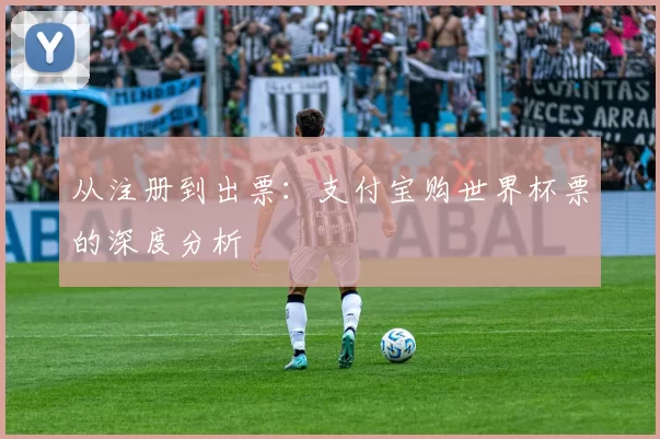从注册到出票:支付宝购世界杯票的深度分析