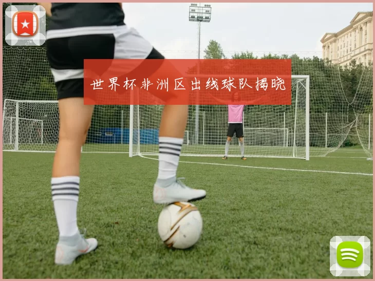 世界杯非洲区出线球队揭晓