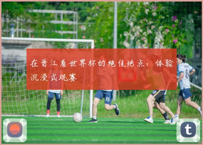 在晋江看世界杯的绝佳地点,体验沉浸式观赛