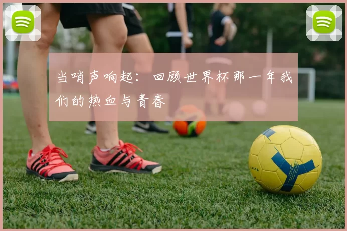 当哨声响起:回顾世界杯那一年我们的热血与青春