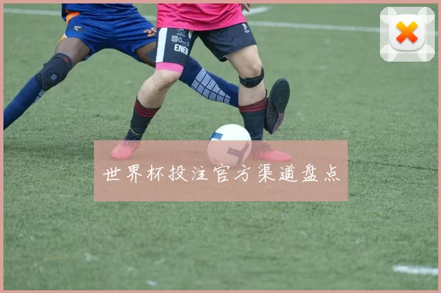 世界杯投注官方渠道盘点