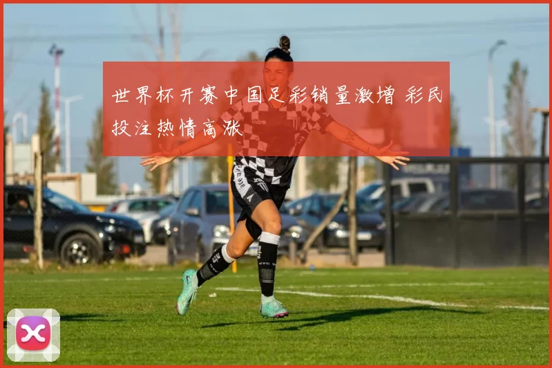 世界杯开赛中国足彩销量激增 彩民投注热情高涨