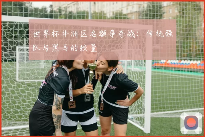 世界杯非洲区名额争夺战:传统强队与黑马的较量