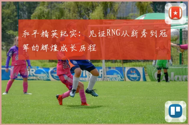 和平精英纪实:见证RNG从新秀到冠军的辉煌成长历程