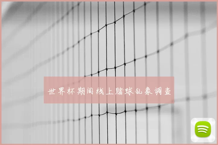 世界杯期间线上赌球乱象调查