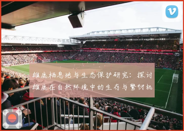 雄鹿栖息地与生态保护研究：探讨雄鹿在自然环境中的生存与繁衍机制
