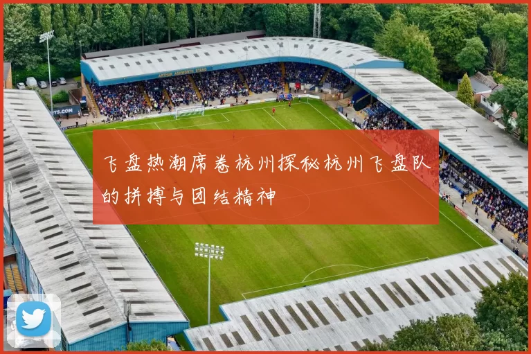 飞盘热潮席卷杭州探秘杭州飞盘队的拼搏与团结精神
