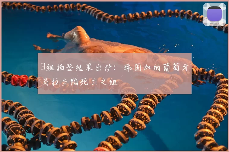 H组抽签结果出炉:韩国加纳葡萄牙乌拉圭陷死亡之组