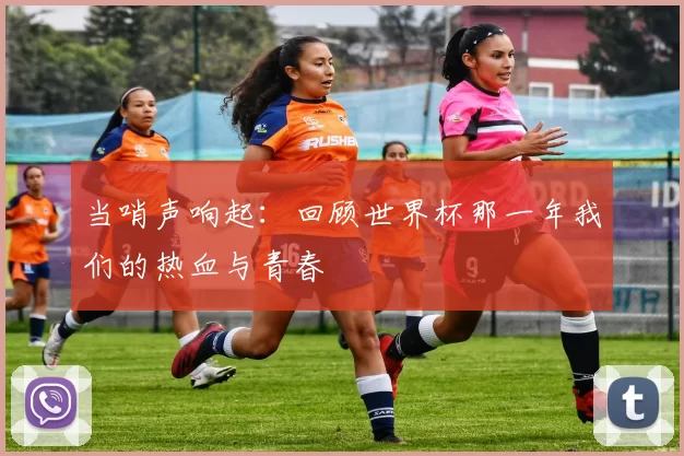 当哨声响起:回顾世界杯那一年我们的热血与青春