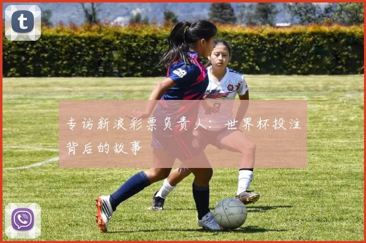 专访新浪彩票负责人:世界杯投注背后的故事