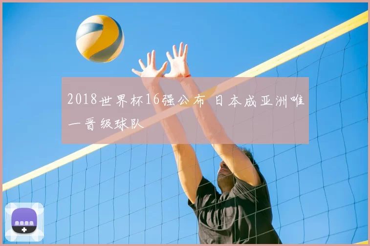 2018世界杯16强公布 日本成亚洲唯一晋级球队