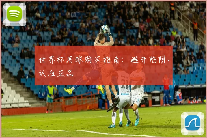 世界杯用球购买指南:避开陷阱,认准正品