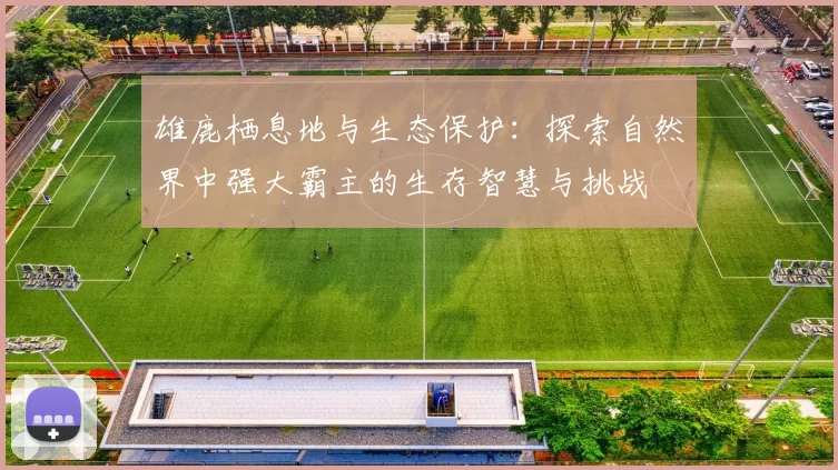 雄鹿栖息地与生态保护：探索自然界中强大霸主的生存智慧与挑战