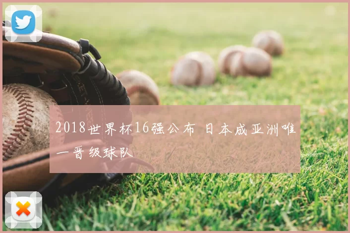 2018世界杯16强公布 日本成亚洲唯一晋级球队