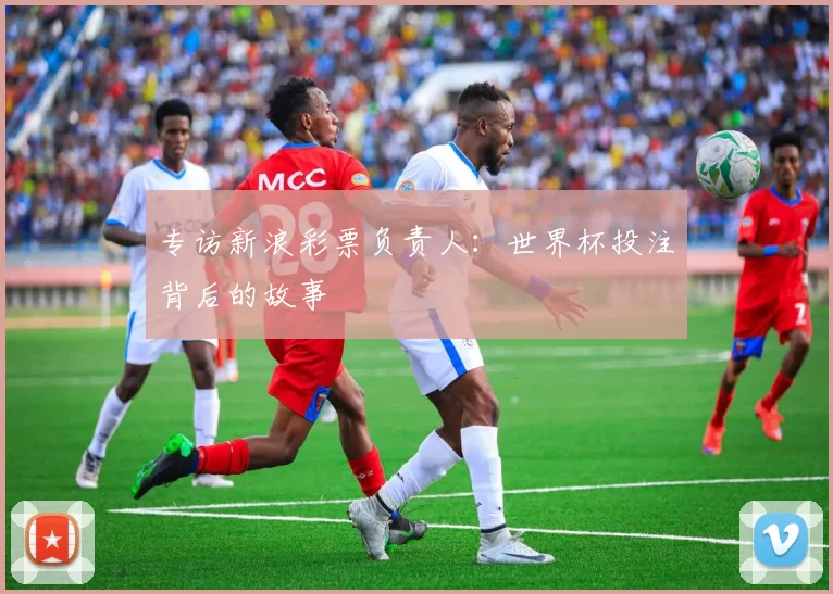 专访新浪彩票负责人:世界杯投注背后的故事
