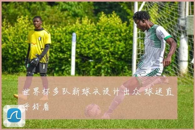 世界杯多队新球衣设计出众 球迷直呼好看