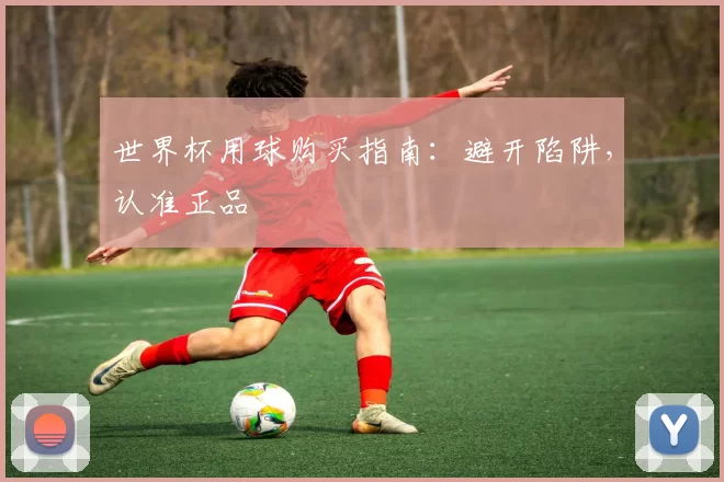 世界杯用球购买指南:避开陷阱,认准正品