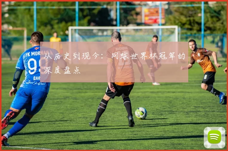从历史到现今:网球世界杯冠军的深度盘点