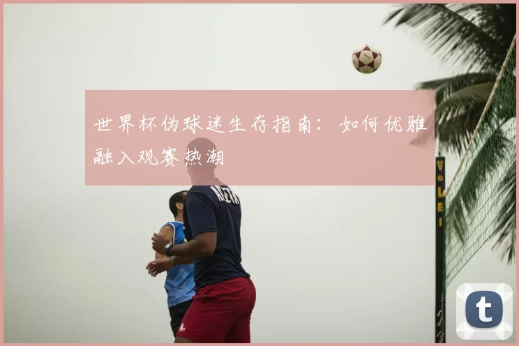 世界杯伪球迷生存指南:如何优雅融入观赛热潮