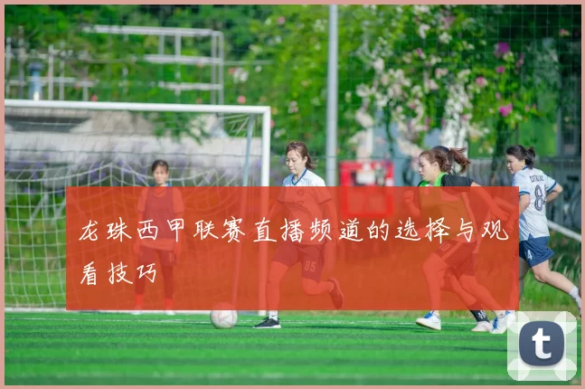 龙珠西甲联赛直播频道的选择与观看技巧
